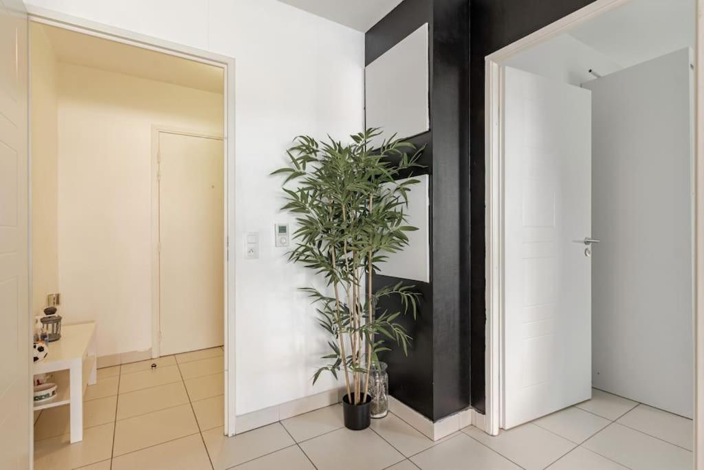Appartement Cosy Et Chic مونبيلييه المظهر الخارجي الصورة